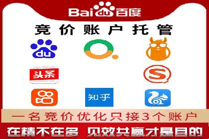 某公司SEO与SEM整合营销的全程记录